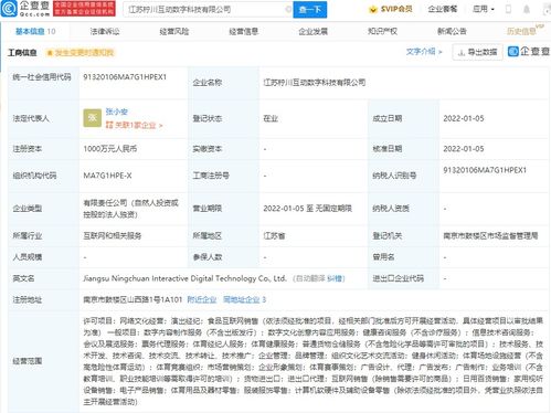 網絡技術服務 數字化時代的引擎與守護者